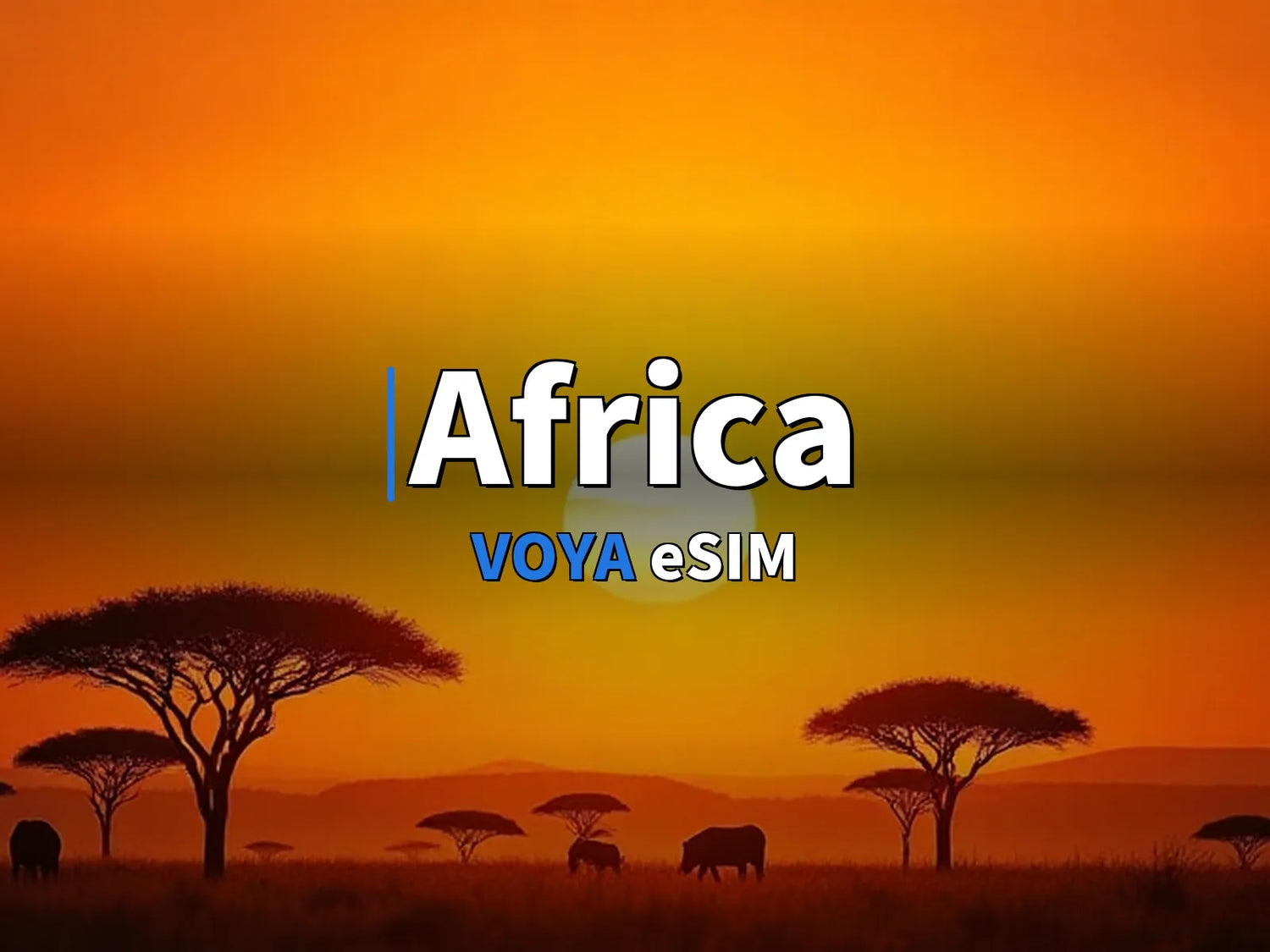 Africa