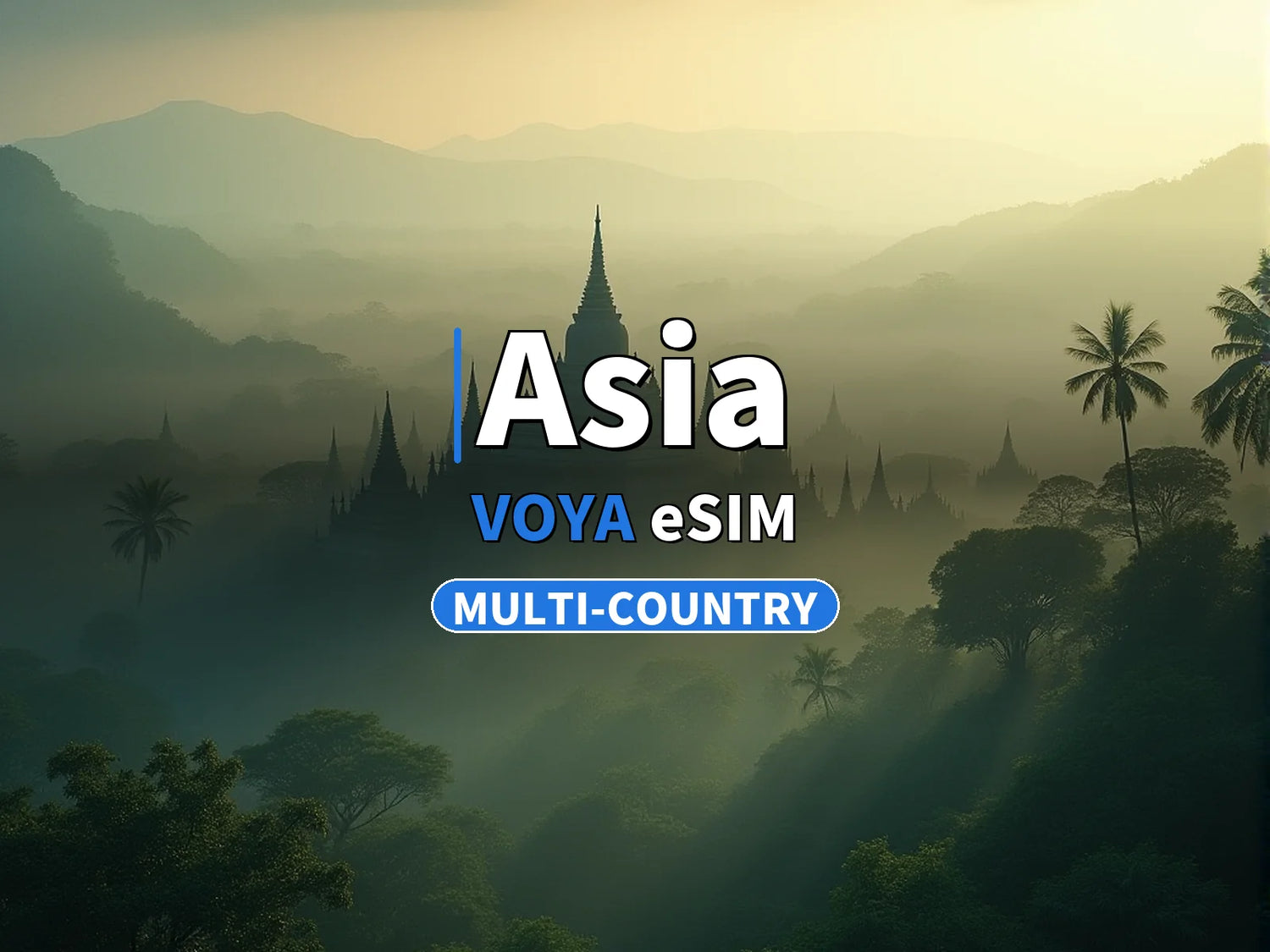 Asia Multi-Country