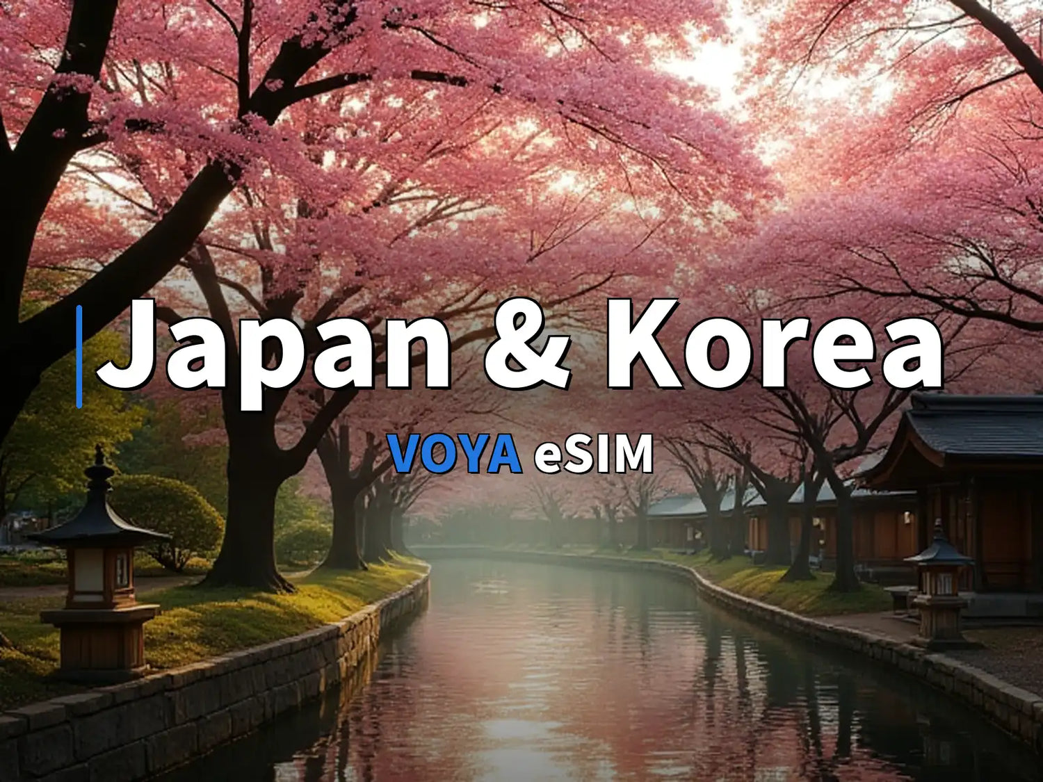 Japan & Korea