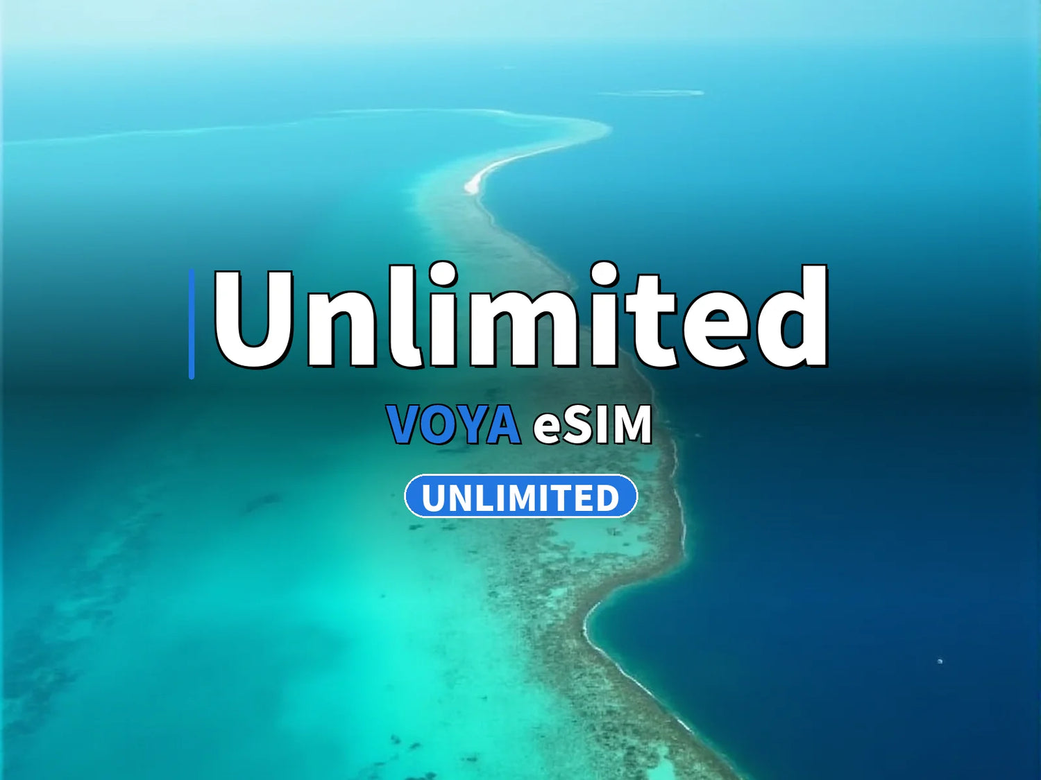 All Unlimited