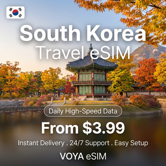 South Korea Travel eSIM - VOYA eSIM